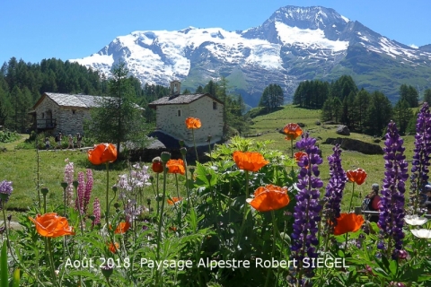 08_2018_Paysage Alpestre_RobertSiegel