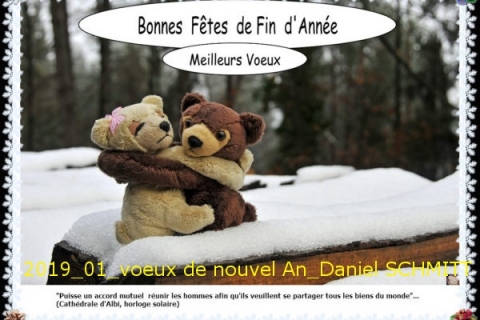 2019_01-Voeux Nouvel an-DanielSchmidt
