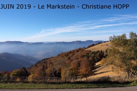 2019_06_Le Markstein-Christiane HOPP