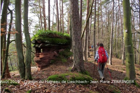 2019_08__Hameau_de_Liesbach_JeanMarieZERRINGER