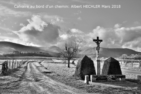 Albert_Hechler0318