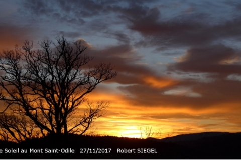 robert_siegel_17_11_saint_odile