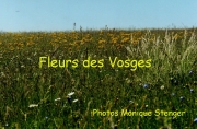fleursvosges000_1363187954