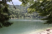 corbeaux22