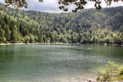 corbeaux26