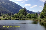etangdesdames12