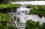 laclande22
