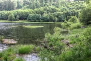 laclande24