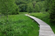 laclande30