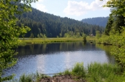 lispach68