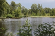milleetangs18