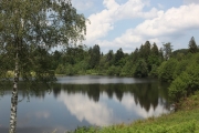 milleetangs20