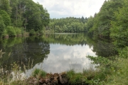 milleetangs26