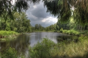 milleetangs30