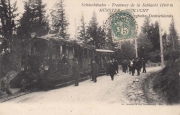 tram031